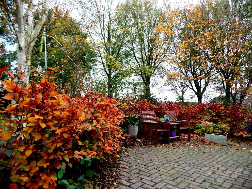 Bed En Breakfast De Pauw Wieringerwaard 외부 사진