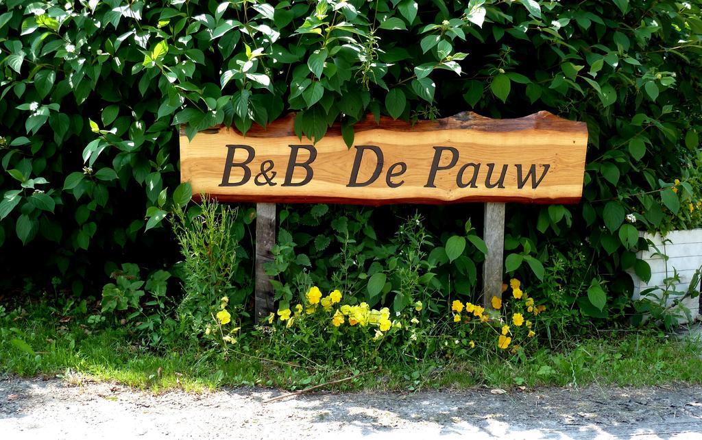 Bed En Breakfast De Pauw Wieringerwaard 객실 사진