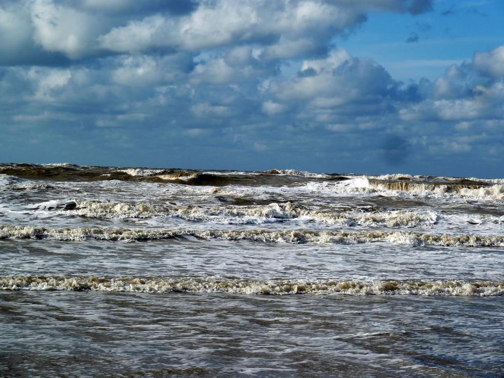 Bed En Breakfast De Pauw Wieringerwaard 외부 사진