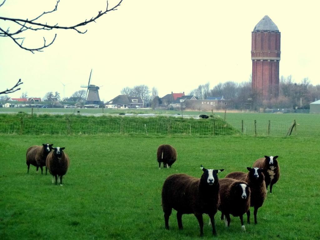 Bed En Breakfast De Pauw Wieringerwaard 객실 사진