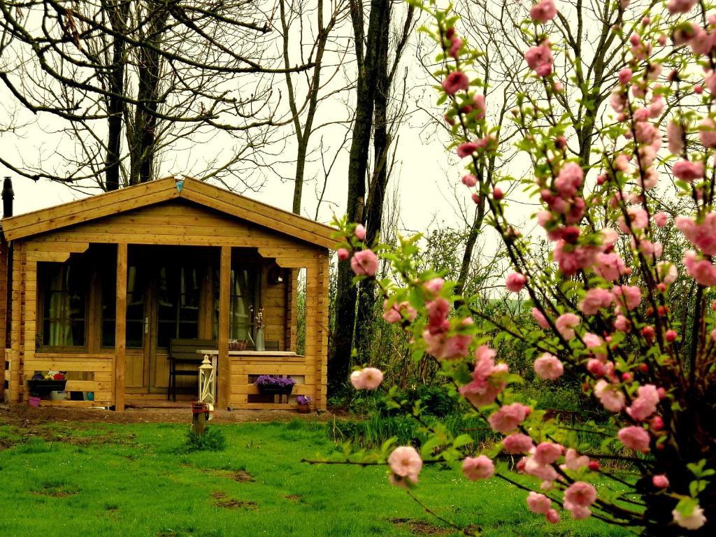 Bed En Breakfast De Pauw Wieringerwaard 객실 사진
